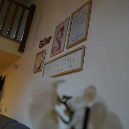 Bed and Breakfast Bonjour Bonheur Αβελλίνο