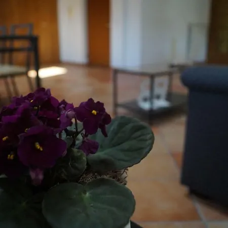 Bed & Breakfast Bonjour Bonheur